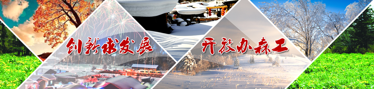banner3.jpg